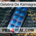 Karmagra Jelly viagra1